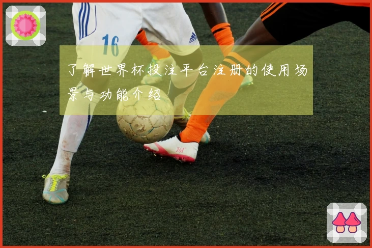 了解世界杯投注平台注册的使用场景与功能介绍