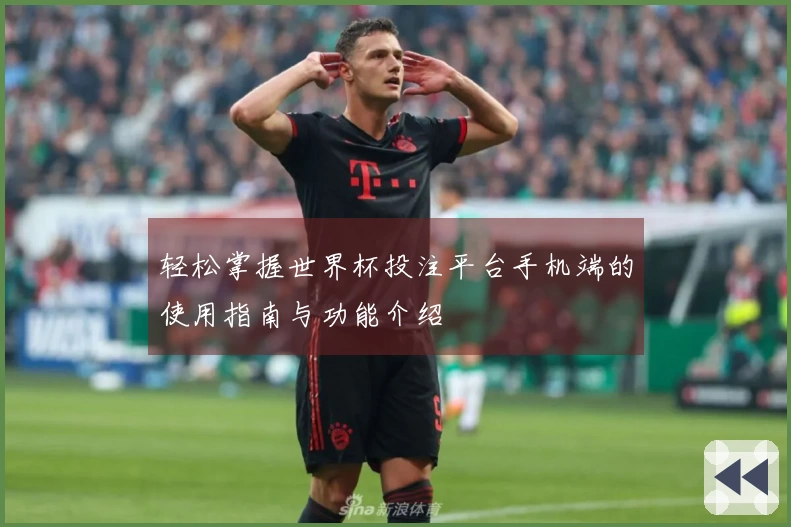 轻松掌握世界杯投注平台手机端的使用指南与功能介绍