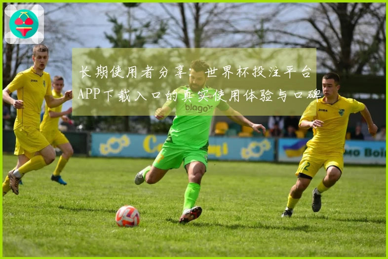 长期使用者分享：世界杯投注平台APP下载入口的真实使用体验与口碑汇总