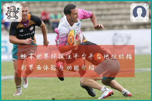 畅享世界杯投注平台平台地址的精彩界面体验与功能介绍