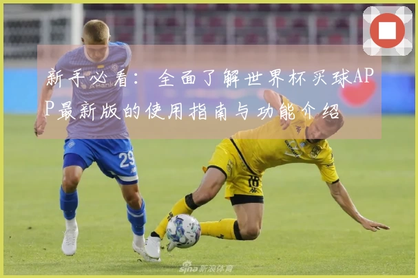 新手必看：全面了解世界杯买球APP最新版的使用指南与功能介绍