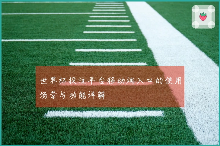 世界杯投注平台移动端入口的使用场景与功能详解