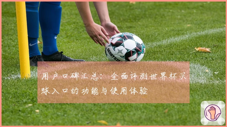 用户口碑汇总：全面评测世界杯买球入口的功能与使用体验